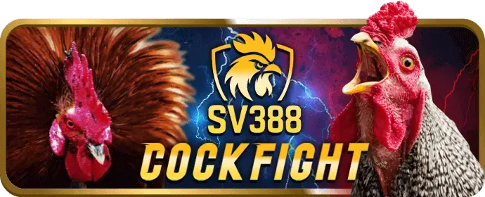 Cá cược có trách nhiệm gu88 win